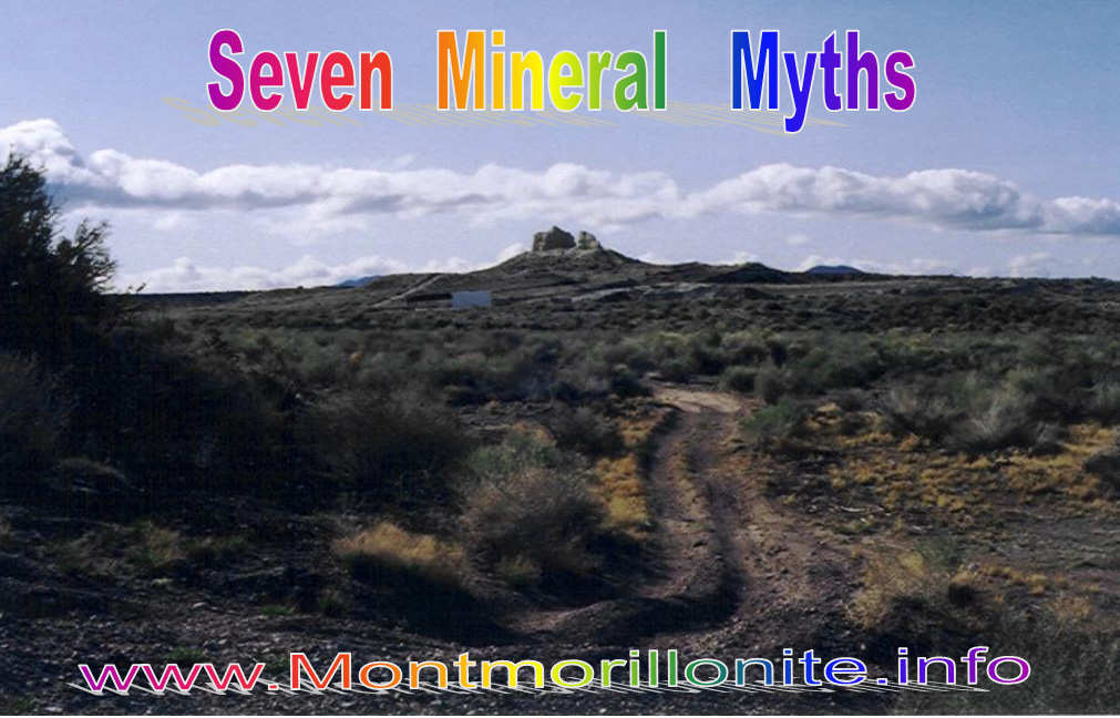 montinfocover